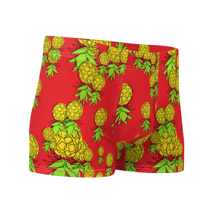 Pineapple Boxer Briefs - Amerukhan Basics Clothing - 