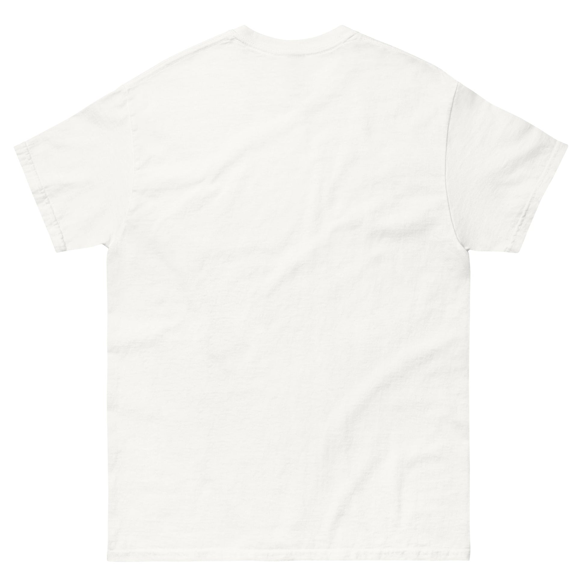 Springfield Gardens Reunion tee - Amerukhan Basics Clothing -